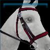 Crimson Count bridle