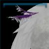 Capricious Carnival tail feather