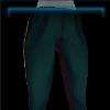 Redwood Point ranger pants
