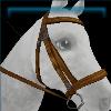 Jorvik Rangers bridle