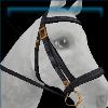 Redwood Point ranger bridle