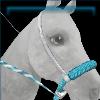 Gallant Glacier bosal