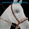 Winter Wishes bosal