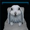 Winter Bunny