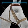 Woodland ranger bridle
