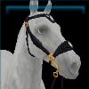Medieval black and gold hackamore