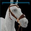 Medieval brown and gold hackamore