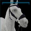 Medieval black and silver hackamore