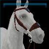 Medieval brown and silver hackamore