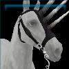 Medieval black and silver horned bridle