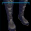 Classic Winter boots