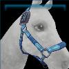 Frozen Western halter