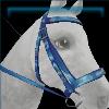 Frozen Western bridle