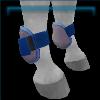 Frozen Western boots