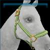 Light Green Nylon Halter