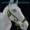 Forester hackamore
