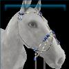 Mystic hackamore