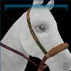 Nature Lover's bosal