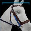 Sentinel Whisperer bridle
