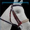 Champion's Zeal bridle
