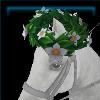 Nature Lover's horse crown