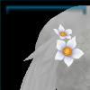 Nature Lover's tail flowers
