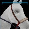 Warrior's Pride bosal