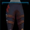 Warrior's Pride pants