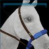 Mystic Spirit bosal