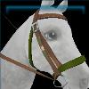 Flowery Forester bridle
