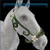 Forester hackamore