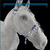 Mystic hackamore