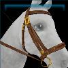 Embroidered Celtic bridle