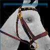 Elegant Engineer Bridle