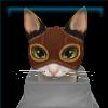 Scraps the Trash Cat