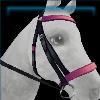 Raring racer bridle in berry