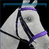 Raring racer bridle in violet