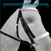 Raring racer bridle in frost