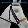 Raring racer bridle in bronze