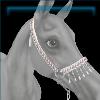 Classic Show Halter in White and Silver