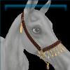 Classic Show Halter in Brown and Gold