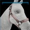 Dusty sunset trails halter