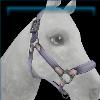 Silver sunset trails halter