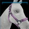 Wisteria sunset trails halter