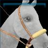 Conscious gatherer bosal