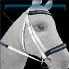 Eco Athleisure Bridle