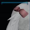 Tail ribbon