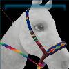 Prismatic Pride bosal