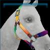 Prismatic Pride halter