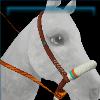 Midsummer Bloom bosal